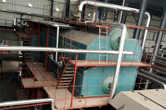 10吨SZW生物质蒸汽锅炉项目