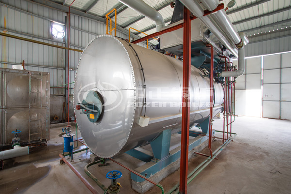 10吨WNS燃气蒸汽锅炉项目