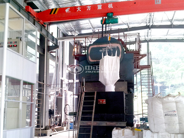 8吨DZL生物质蒸汽锅炉项目