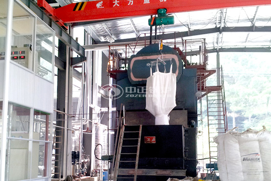 8-10吨DZL系列生物质蒸汽锅炉项目